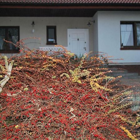 Pokoje Nad Mlynem ストリクフ エクステリア 写真