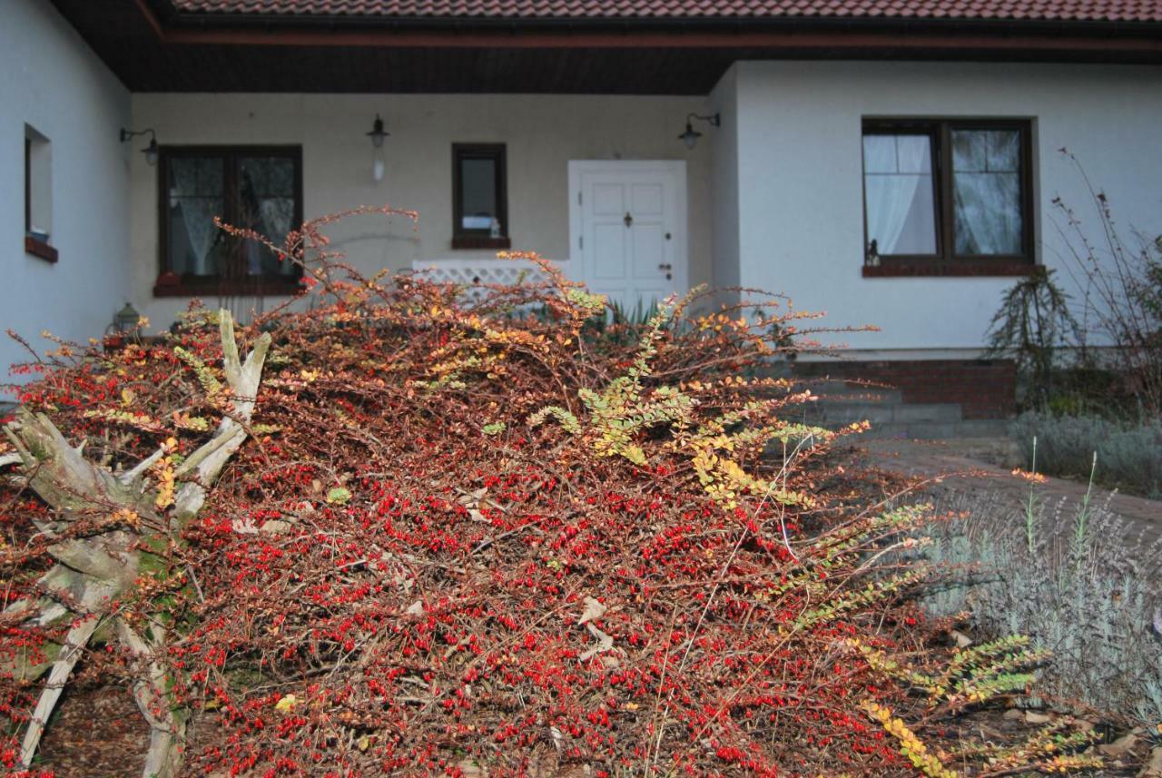 Pokoje Nad Mlynem ストリクフ エクステリア 写真